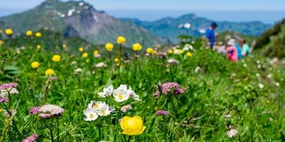Individuelle Wünsche